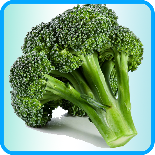 Broccoli Recipes: Broccoli soup, Broccoli salad icon