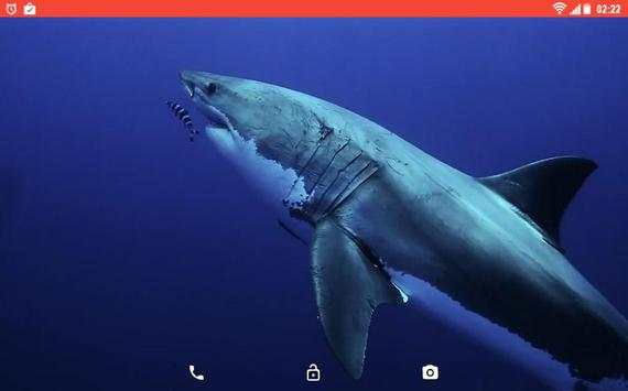 Shark Predator Attack LWP screenshot 4