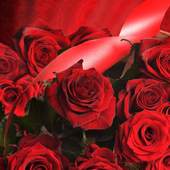 Download Beautiful Wallpapers 1.0