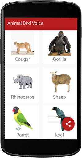 Animal Bird Voice screenshot 3