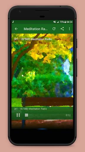 Japanese Relaxation Music screenshot 5
