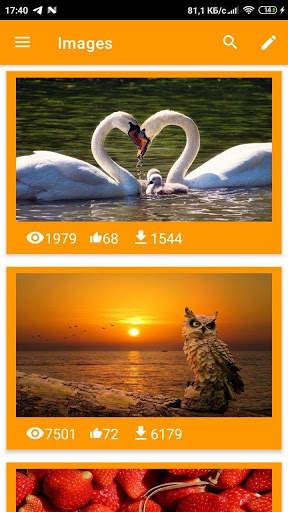 Pixabay Image Viewer screenshot 2