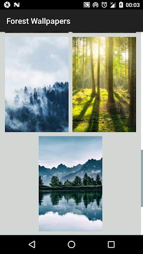 Forest Wallpapers - Tree Wallpaper screenshot 2
