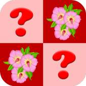 Flower Matching Game 1.0