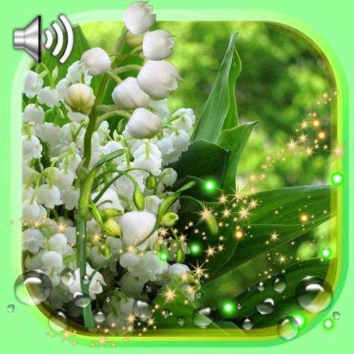 Spring Lilies live wallpaper 1.4