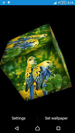 Love Bird Live Wallpaper screenshot 4