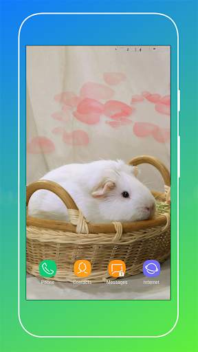 Guinea Pig Wallpaper screenshot 14
