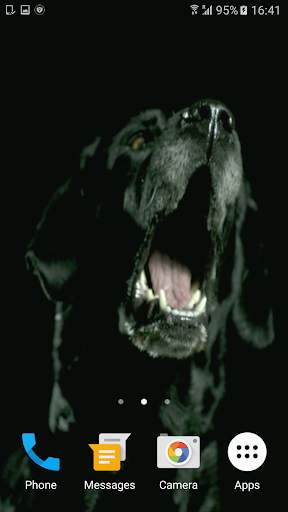 Dogs In Slow Motion Video screenshot 4