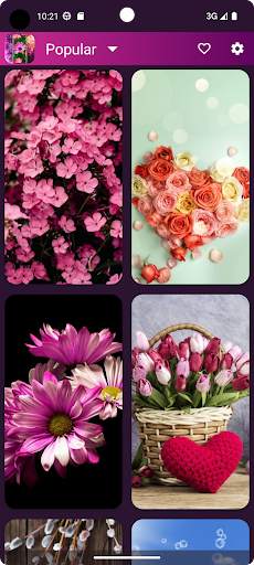 Flower Wallpapers in HD, 4K screenshot 1