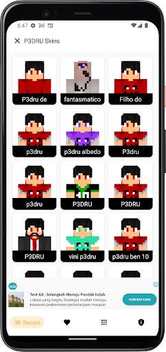 P3DRU Skins for Minecraft screenshot 2