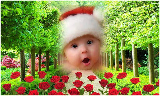 Garden Photo Frames New screenshot 3