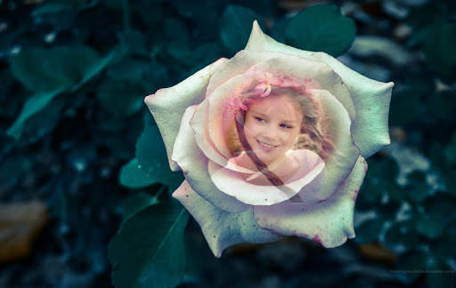 Rose Photo Frames screenshot 2