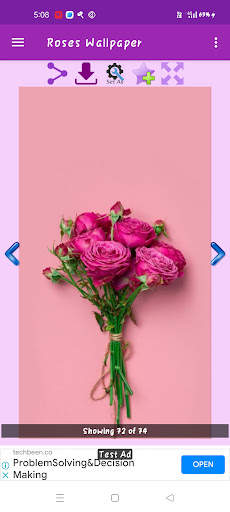 Roses Gallery screenshot 4