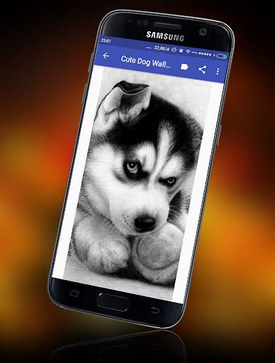 Dog Wallpaper screenshot 4