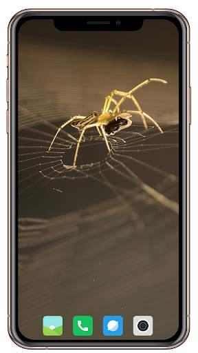 Spider Wallpaper screenshot 5