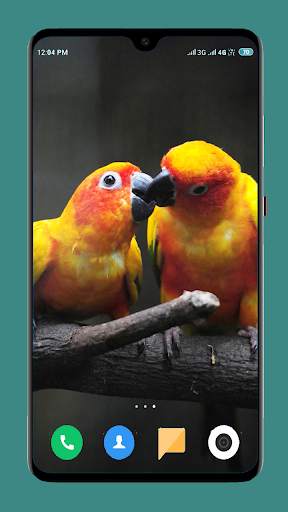 Parrot Wallpapers 4K screenshot 2