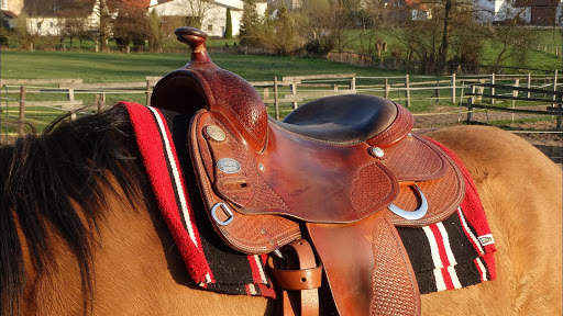RODEO STYLE WALLPAPER screenshot 5
