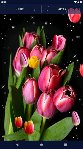 Spring Tulip Live Wallpaper screenshot 7