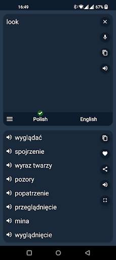 Polish - English Translator скриншот 4