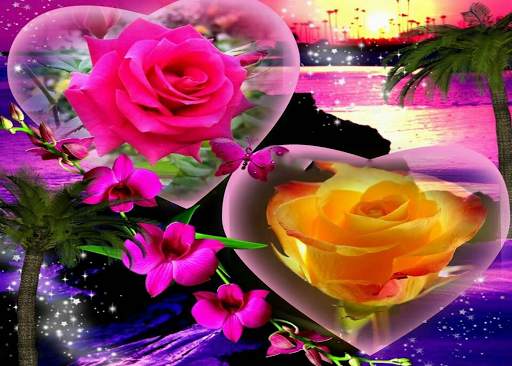Wonderful Flowers Roses Animated images Gif 5 تصوير الشاشة