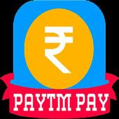 Paytm pay icon