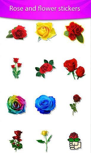 Rose Photo Frames HD screenshot 7