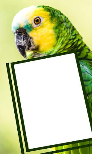 Birds Photo Frames HD स्क्रीनशॉट 12