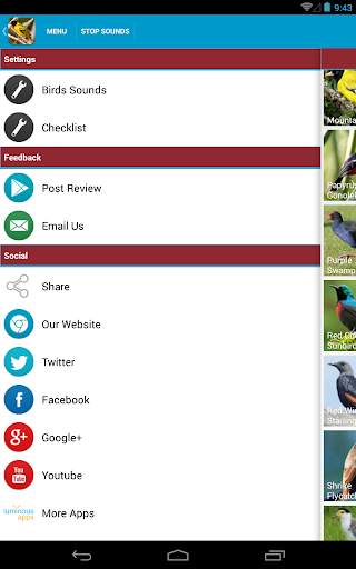 African Birds Sounds Free screenshot 16