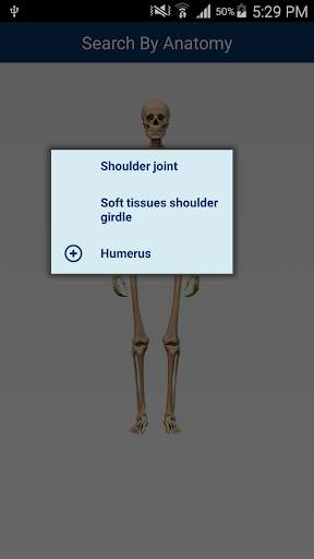 MSK RADIOLOGY 4 U screenshot 1