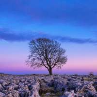 Nature HD Wallpaper on 9Apps