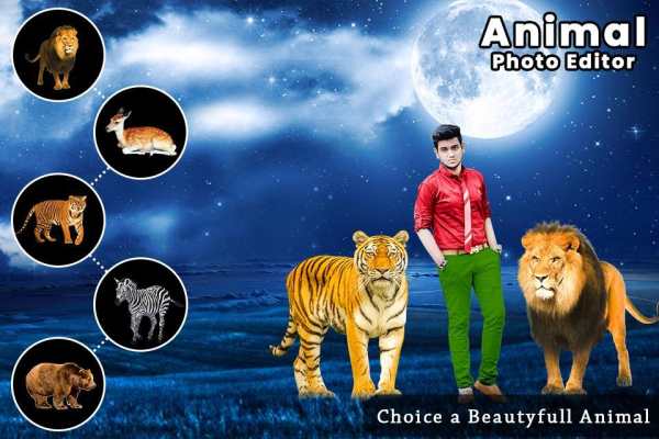 Wild Animal Photo Editor screenshot 2