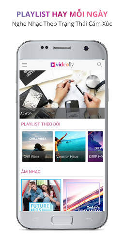 VideoFly screenshot 1