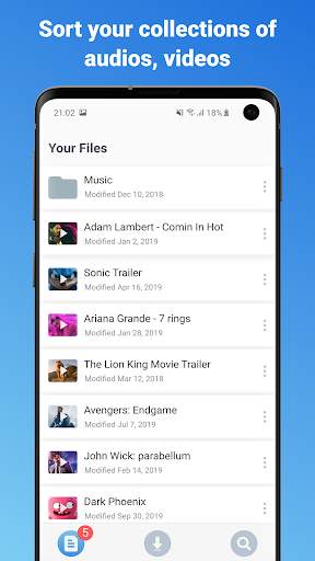 VDP Downloader screenshot 2