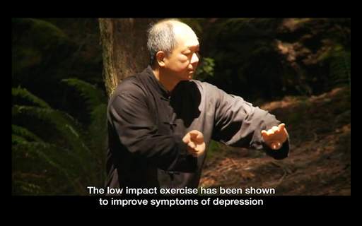 Yang Tai Chi Beginners Part 1 screenshot 13