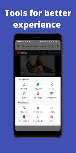 Web Browser screenshot 3