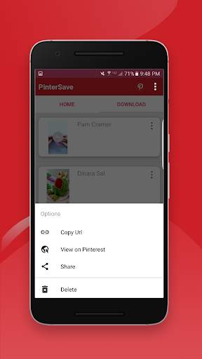PinSave: Fast Video Downloader for Pinterest screenshot 3