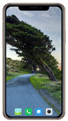 Tree Wallpaper screenshot 11