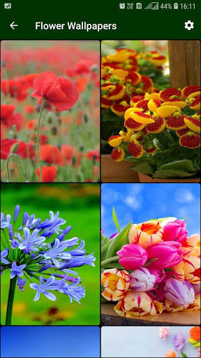 Flower Wallpaper screenshot 1