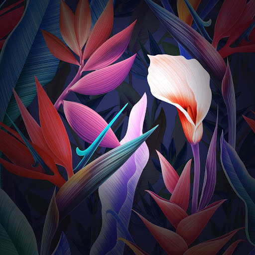 Wallpaper for Huawei Mate 10 screenshot 22