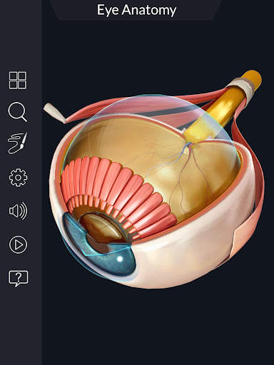 My Eye Anatomy screenshot 3