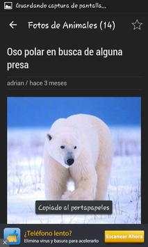 Fotos de Animales screenshot 6