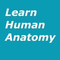 Learn Human Anatomy (Human Body) icon
