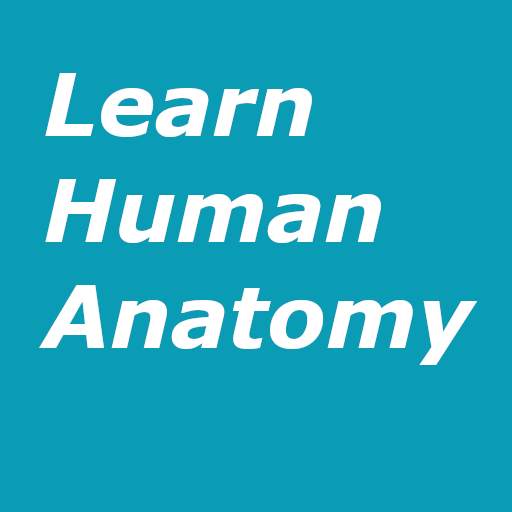 Learn Human Anatomy (Human Body) 1.0