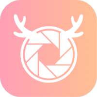 Sweety Photo Maker