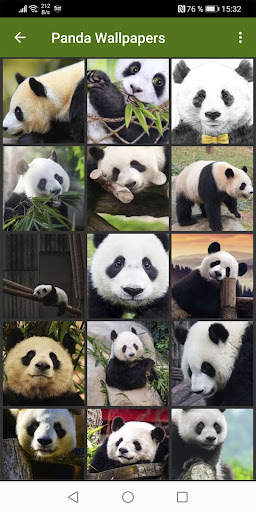 Panda Wallpapers screenshot 5