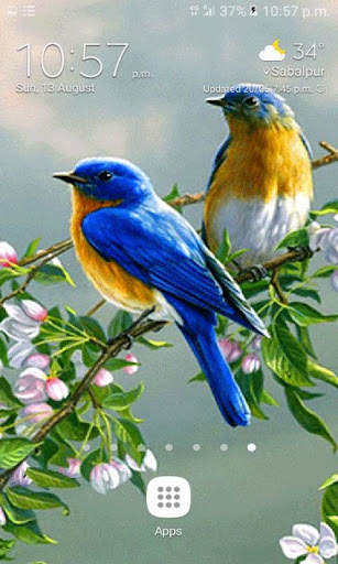 Cute Blue Birds LWP स्क्रीनशॉट 3