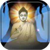 Bodhivruksha 1.7