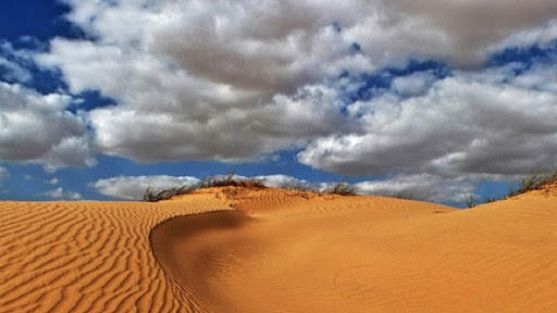 FOTOS NATURALEZA screenshot 1