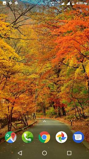 Autumn Wallpaper HD screenshot 4