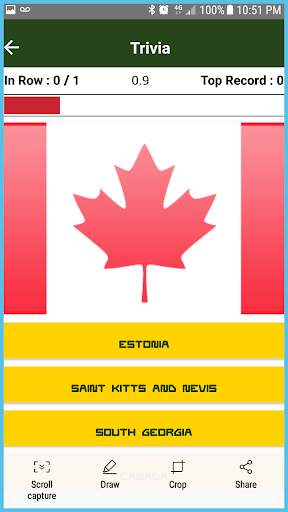 Flags Race screenshot 4